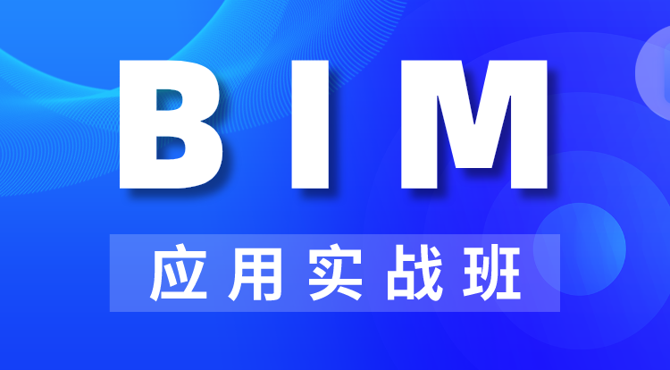 2024BIM应用实战班网课