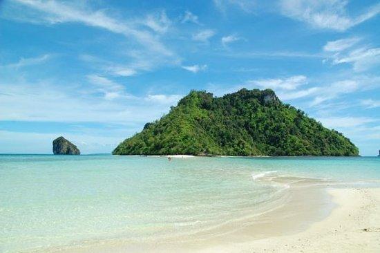 2026一级造价工程师（至尊协议班）