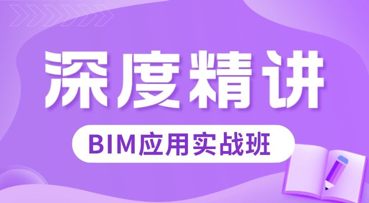 BIM应用实战（深度精讲）