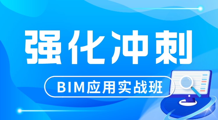 BIM应用实战（强化冲刺）