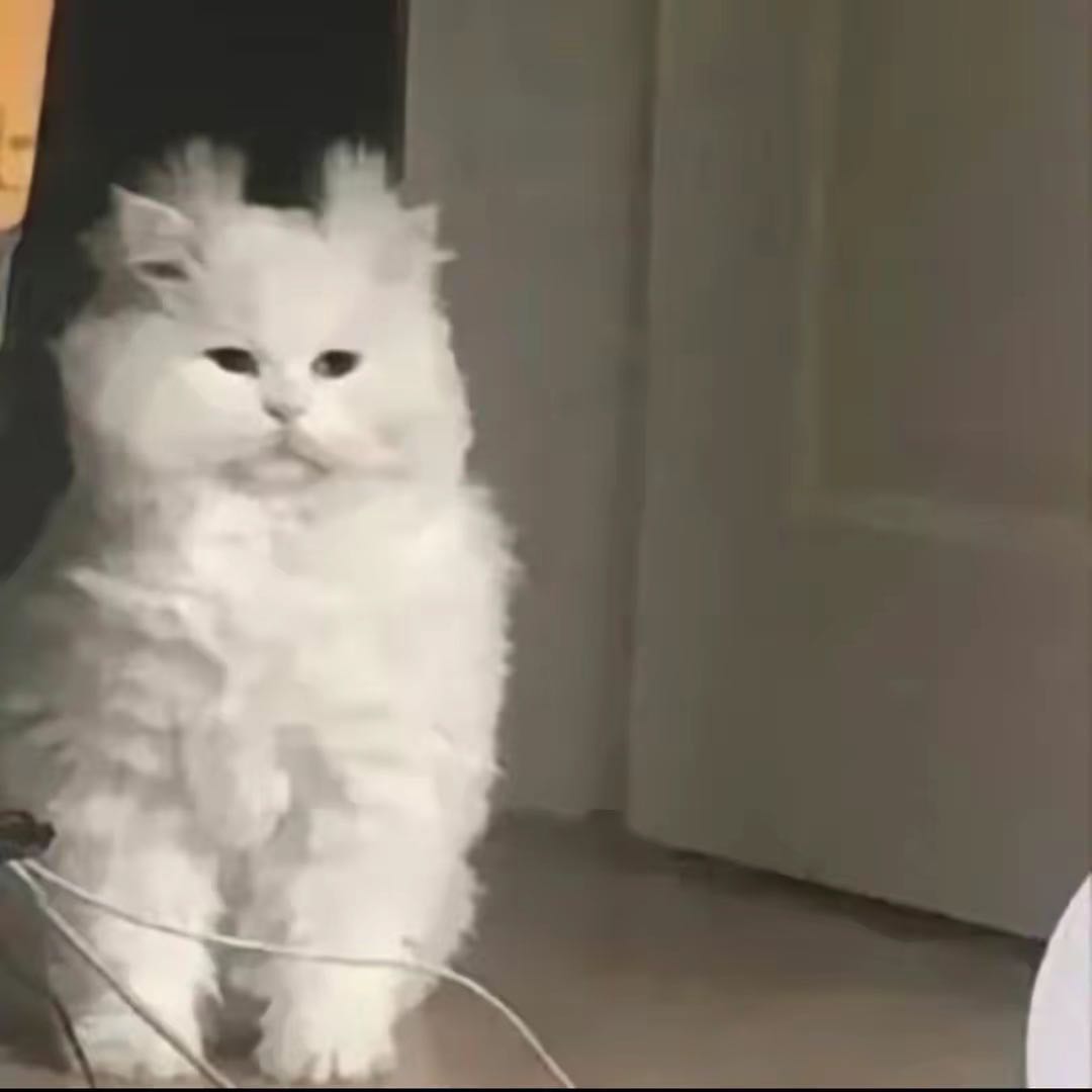 9-25测试专题促销下单