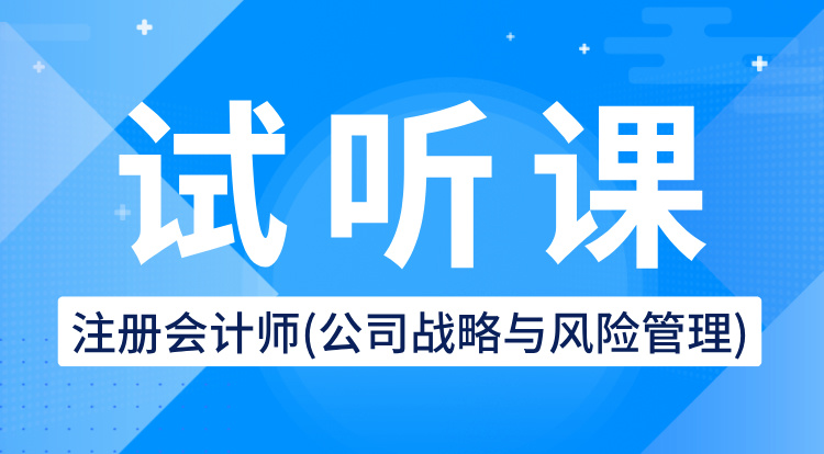 注册会计师-公司战略与风险管理