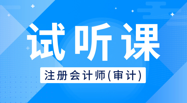 注册会计师-审计